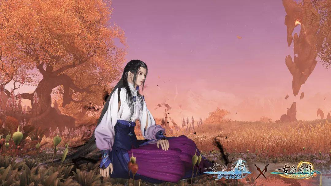 诱捕小浣熊