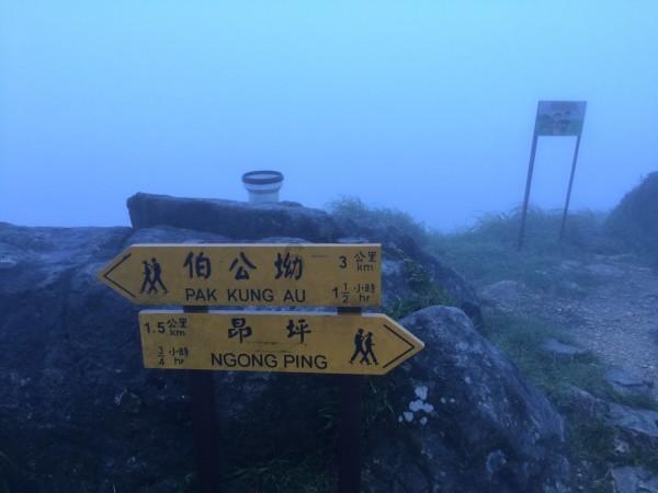 御神决