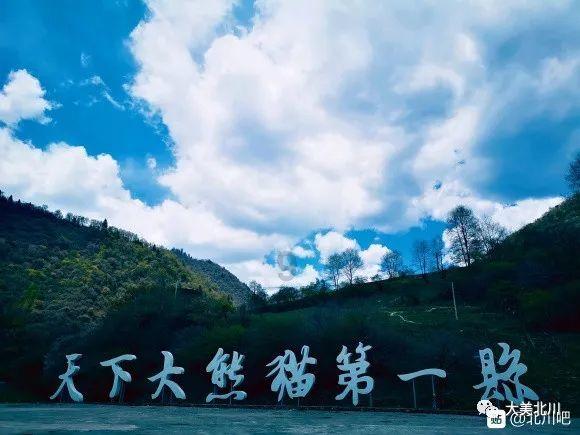 河南一地多人持棍棒、皮带当街殴打一男子,派出所:正在调查中