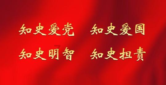 拯救精灵的土地8