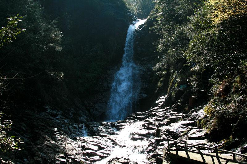 海南：村美产旺人安乐 振兴图景扑面来
