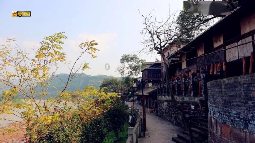 任青奥会大使宣传韩国文化，网友戏称其墙头草！谷爱凌尴尬了
