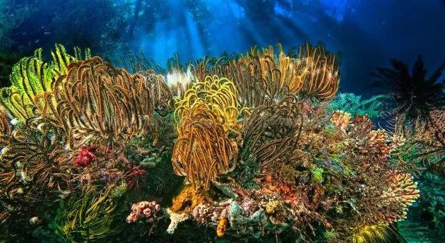 探索健步走的科学:行走的生物力学与健康效益有何关联?